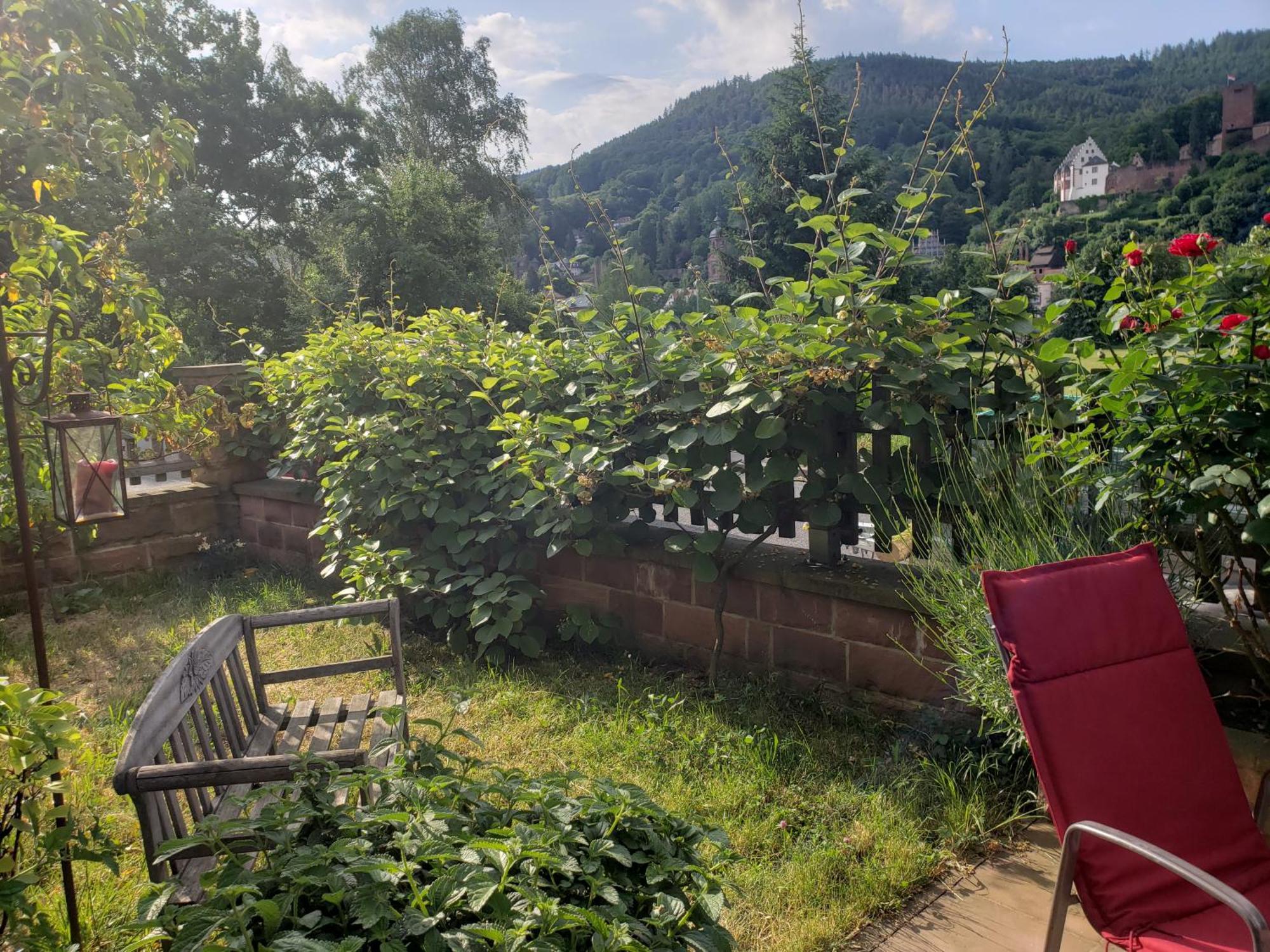Panorama-blick Miltenberg, 3 Pers., Zentr., Am Main, Terrasse, Bootverleih, P * Miltenberg