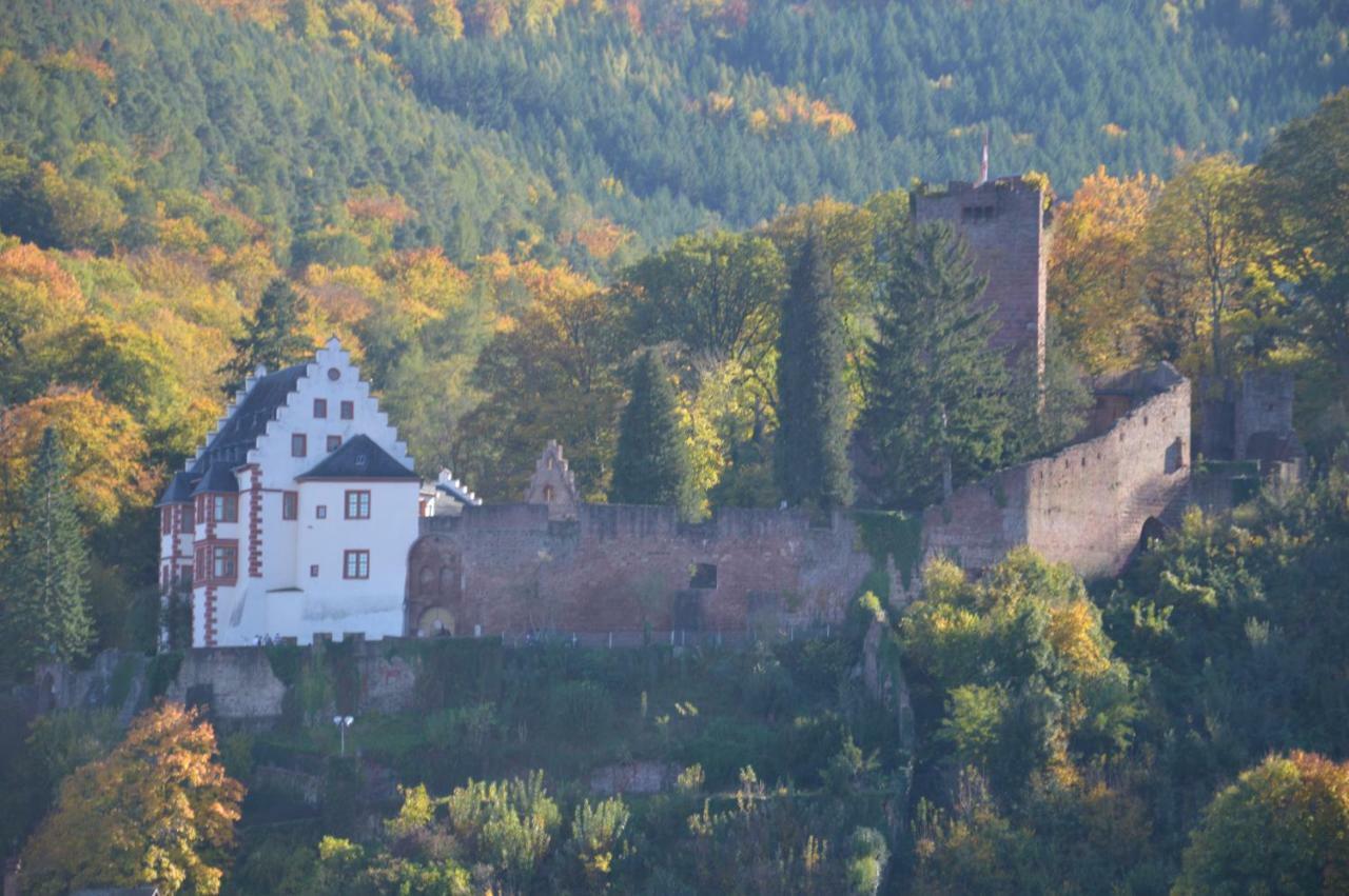 Apartamento Panorama-blick Miltenberg, 3 Pers., Zentr., Am Main, Terrasse, Bootverleih, P *