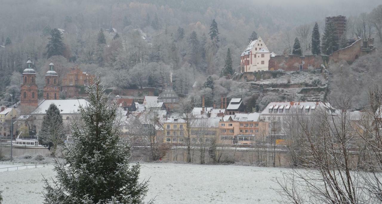 Panorama-blick Miltenberg, 3 Pers., Zentr., Am Main, Terrasse, Bootverleih, P *