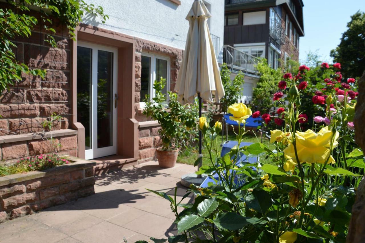 Panorama-blick Miltenberg, 3 Pers., Zentr., Am Main, Terrasse, Bootverleih, P Apartamento Miltenberg