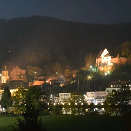 Panorama-Blick Miltenberg, 3 Pers., Zentr., Am Main, Terrasse, Bootverleih, P Exterior photo