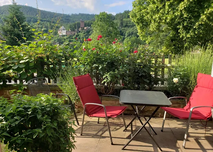 Panorama-Blick Miltenberg, 3 Pers., Zentr., Am Main, Terrasse, Bootverleih, P