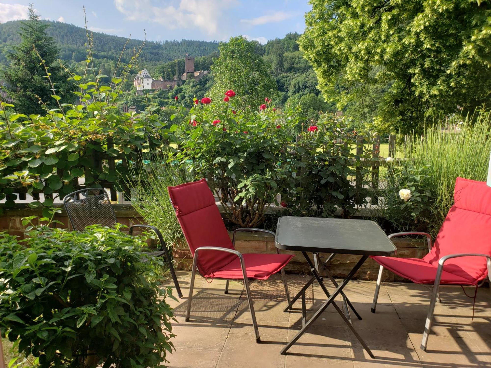 Panorama-blick Miltenberg, 3 Pers., Zentr., Am Main, Terrasse, Bootverleih, P Miltenberg