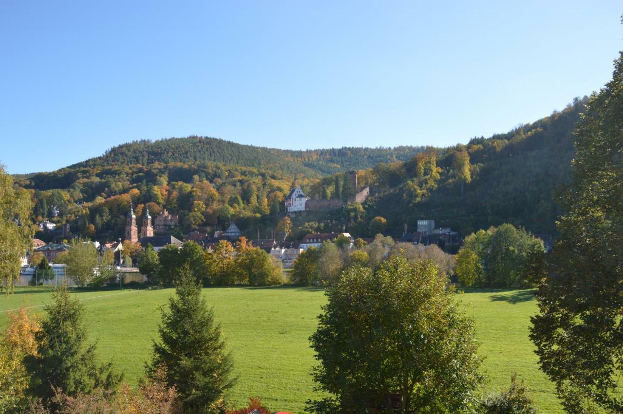 Panorama-blick Miltenberg, 3 Pers., Zentr., Am Main, Terrasse, Bootverleih, P *