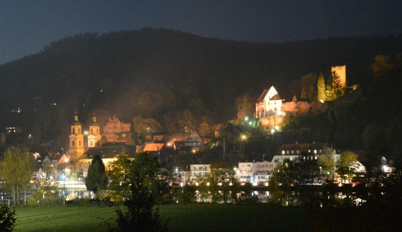 Panorama-blick Miltenberg, 3 Pers., Zentr., Am Main, Terrasse, Bootverleih, P * Miltenberg