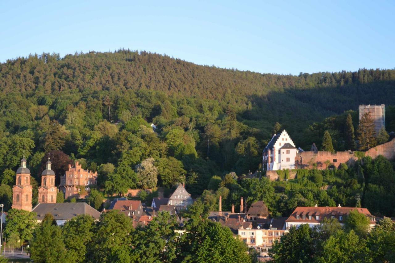 Panorama-blick Miltenberg, 3 Pers., Zentr., Am Main, Terrasse, Bootverleih, P Miltenberg